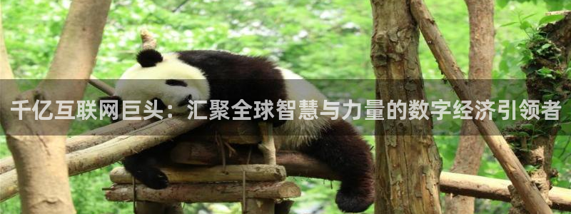 威廉希尔(williamhill)平台官网入口下载：千亿互联网巨头：汇聚全球智慧