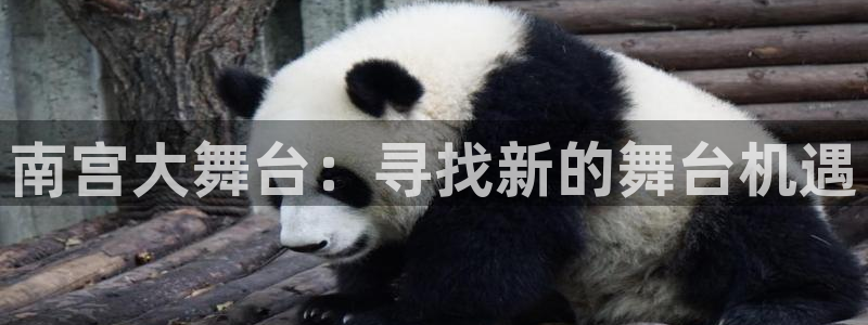 威廉希尔(williamhill)平台注册入口：南宫大舞台：寻找新的舞台机遇