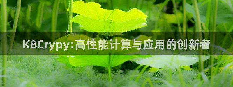 威廉希尔(williamhill)下载二维码：K8Crypy:高性能计算与应用的