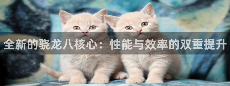 威廉希尔(williamhill)体育app下载：全新的骁龙八核心：性能与效率的