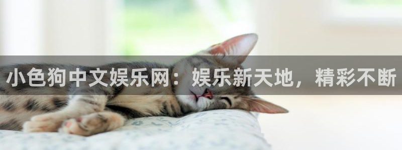 威廉希尔(williamhill)体育合法嘛：小色狗中文娱乐网：娱乐新天地，精彩不断