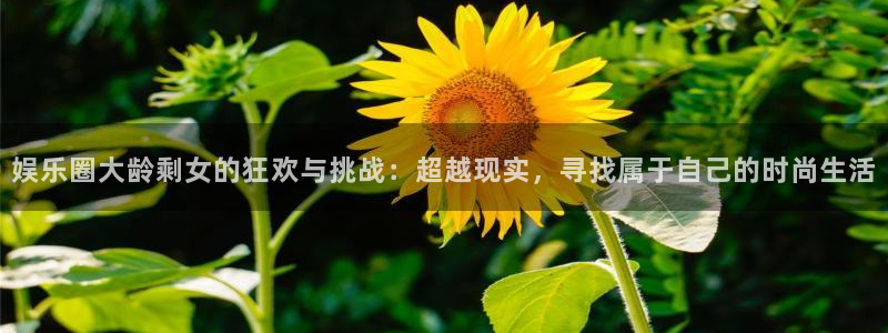 威廉希尔(williamhill)体育app下载：娱乐圈大龄剩女的狂欢与挑战：超