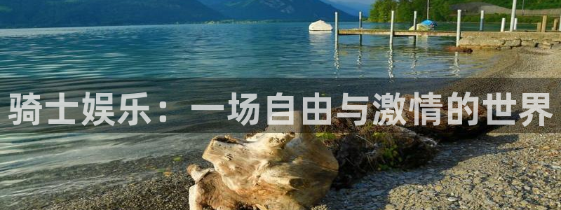 威廉希尔(williamhill)ccmpc：骑士娱乐：一场自由与激情的世界