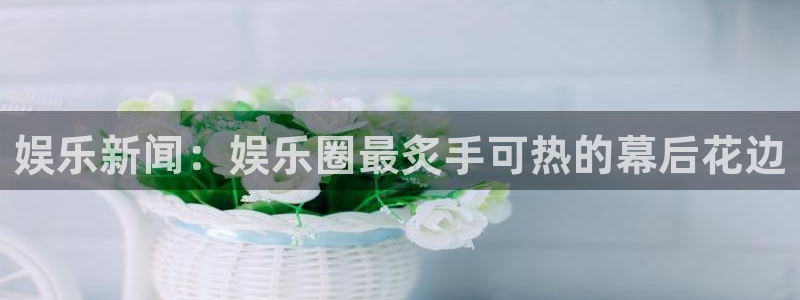 威廉希尔(williamhill)包怎么样